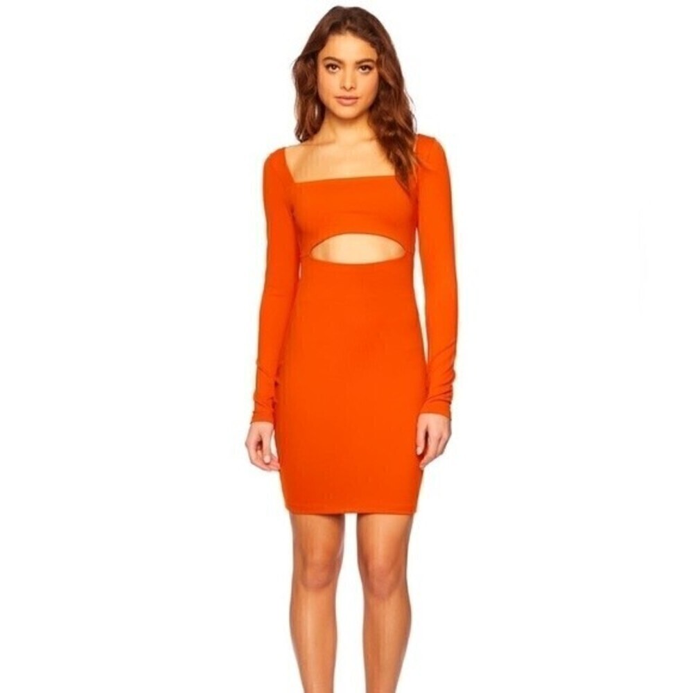 NWOT Susan Monaco open Twist front long sleeve dress